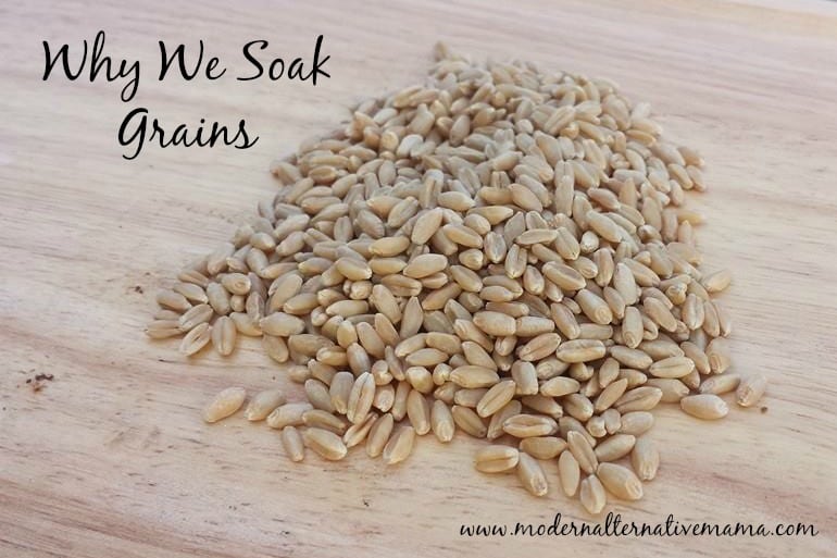 Monday Health & Wellness: Why We Soak Our Grains