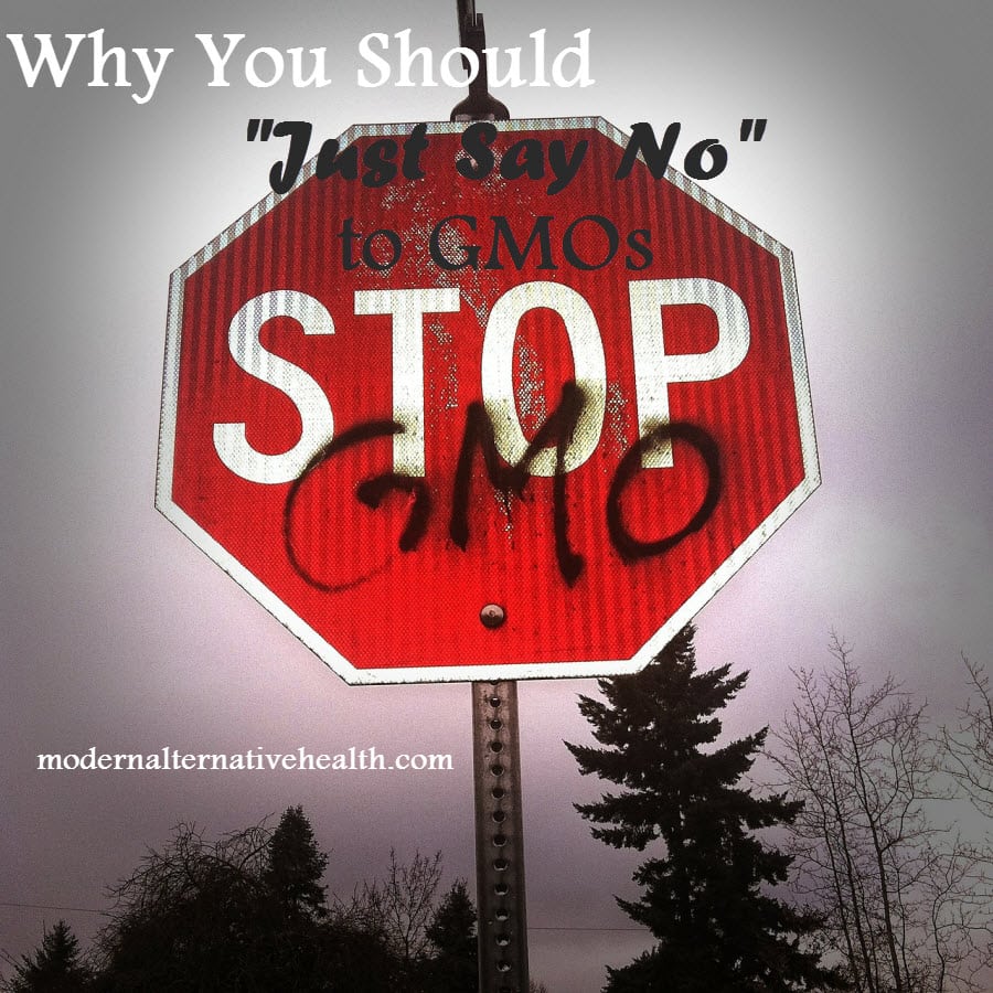Why You Should “Just Say No” to GMOs