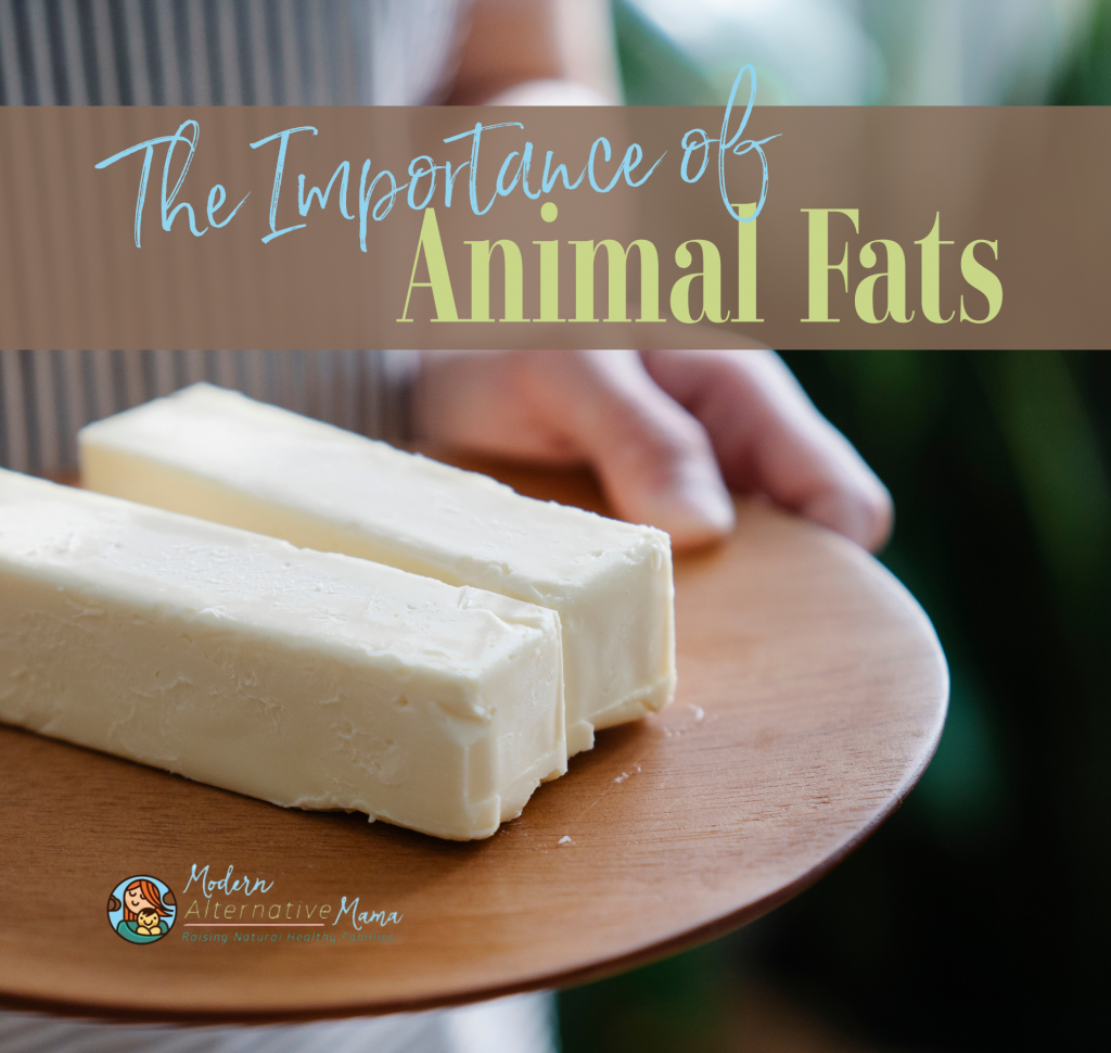 The Importance of Animal Fats
